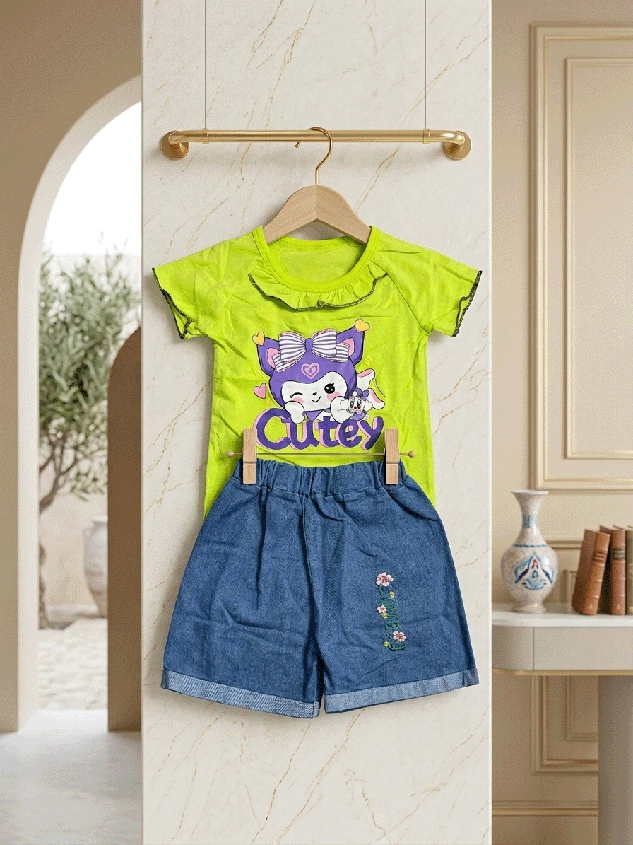 Summer Tops with Trendy Denim Set