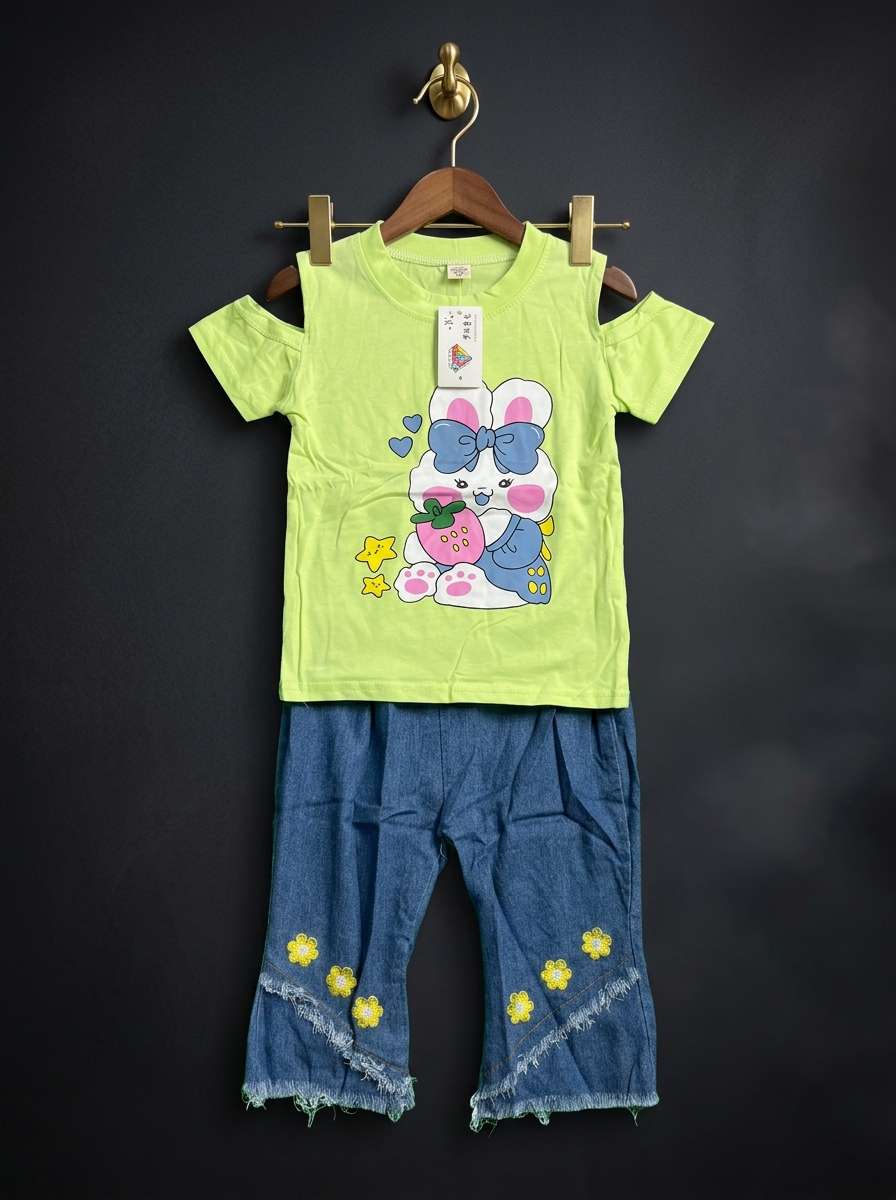 Summer Tops with Trendy Denim Set