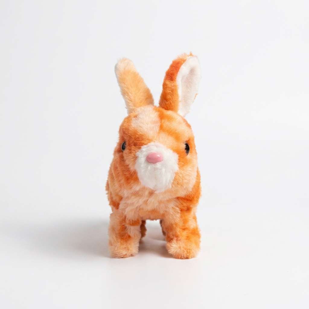 Plush Toys & Novelty