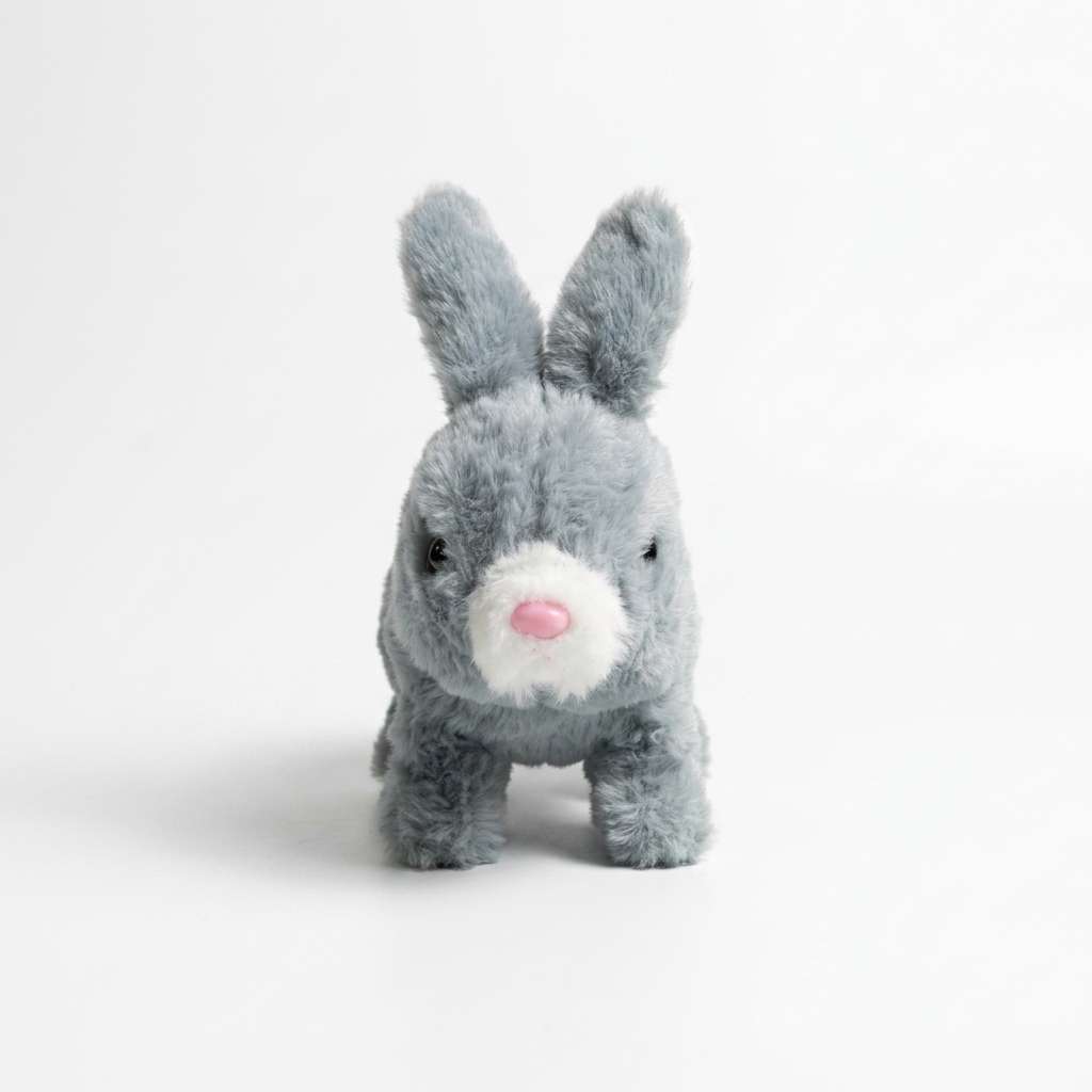 Plush Toys & Novelty